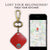 Smart Keychain (Red) Key Chain